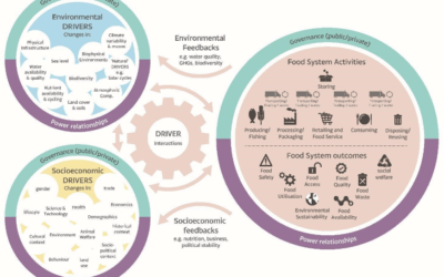 Tackling Food Waste in the Food Sector