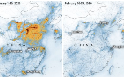 Coronavirus, Behaviour Change and the Environment