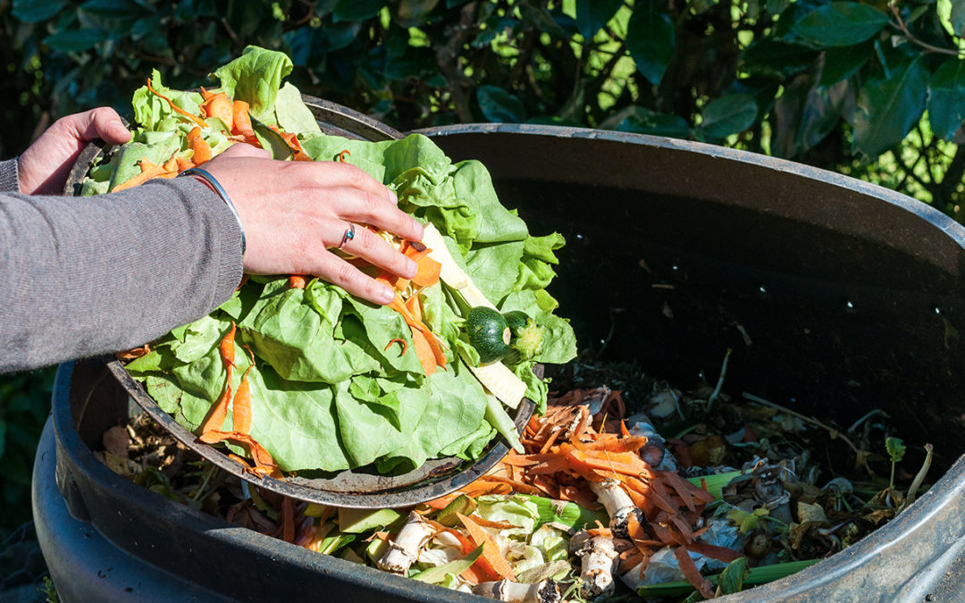 World Food Day 2020. Tips on avoiding #foodwaste