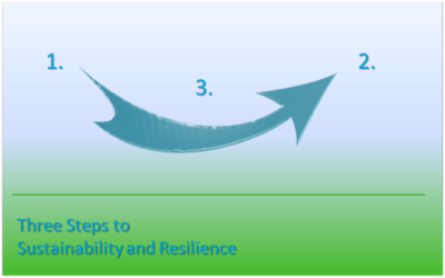 Three Steps to Building Resilience and Sustainability Post COVID-19