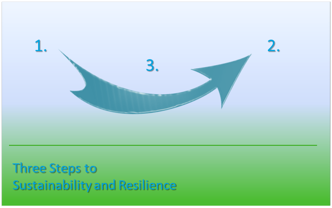 Build Sustainability and Resilience in Business