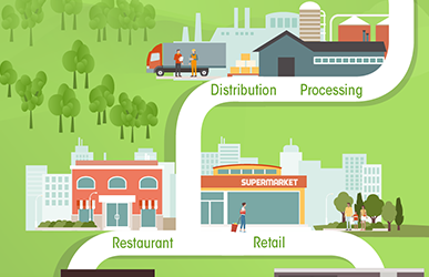 Should our Food System focus on Local?