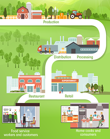 Food Supply Chain credit www.cdc.gov/foodsafety